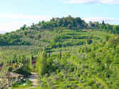 Tuscan villa to rent
