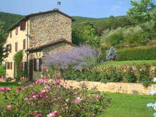 casa colonica - a Tuscan farmhouse