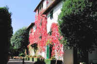 le_barone_facade.jpg (70766 bytes)